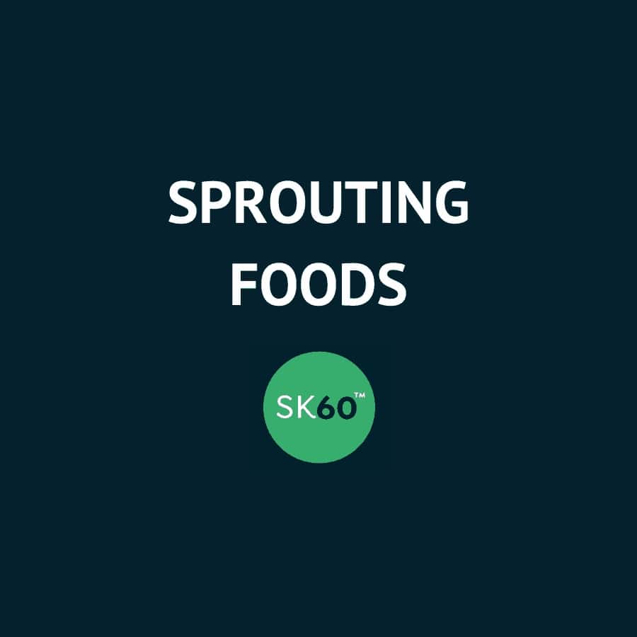 sprouting foods sprouting foods