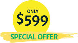 $599 - Special Offer