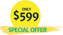 $599 - Special Offer $599 - Special Offer