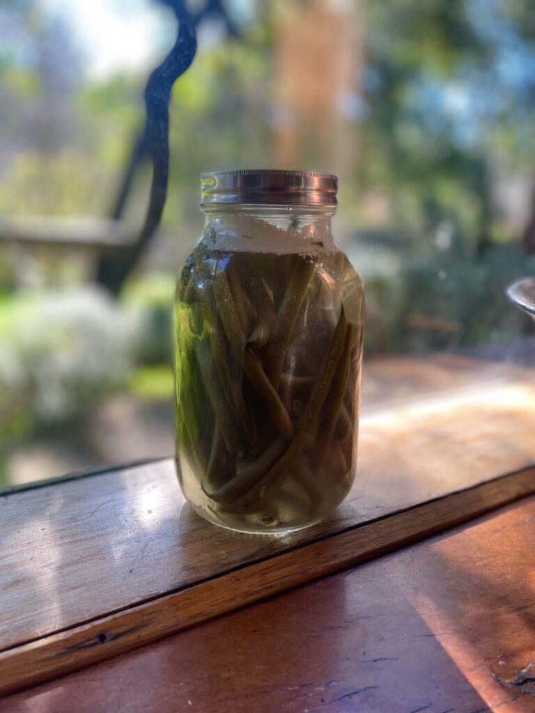 Jar of Brine-Fermented Green Beans