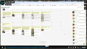 Screenshot of a Skinny60 webinar in progress, showing Tess speaking on a video call
